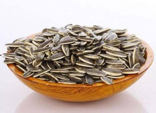 吃瓜群众瓜子板凳